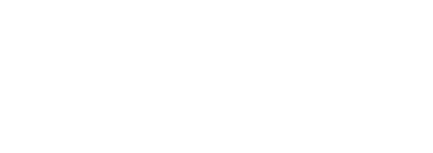 1ST DISCOUNT BROKERAGE, INC. logo