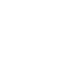 TOUCHSTONE SECURITIES, LLC logo