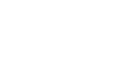 22V SECURITIES LLC logo