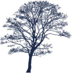 THOMPSON DAVIS & CO., INC. logo