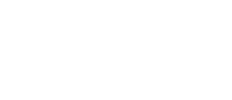 AXOM PARTNERS LLC logo